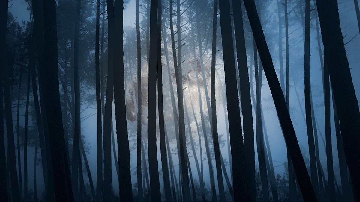 Full moon in the forest